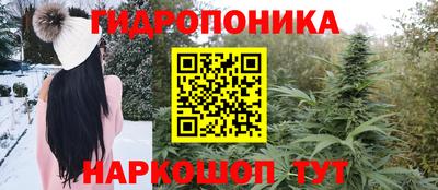 jwh Будённовск