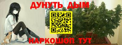 jwh Будённовск