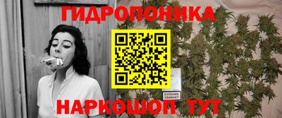 jwh Будённовск