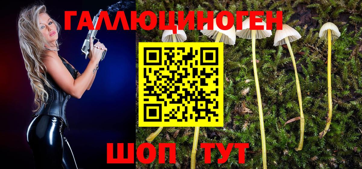 Псилоцибиновые грибы GOLDEN TEACHER Карасук